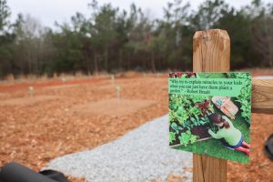 Children's Garden Area