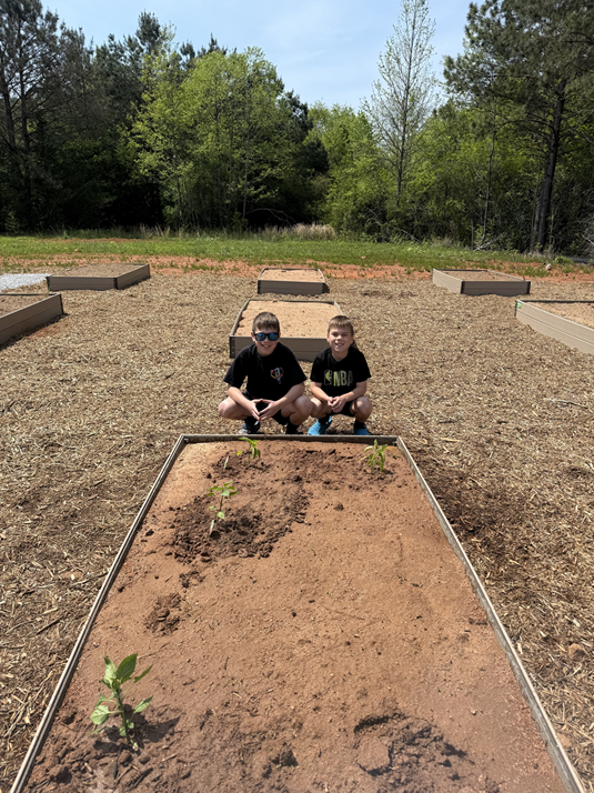 Children planting in garden area