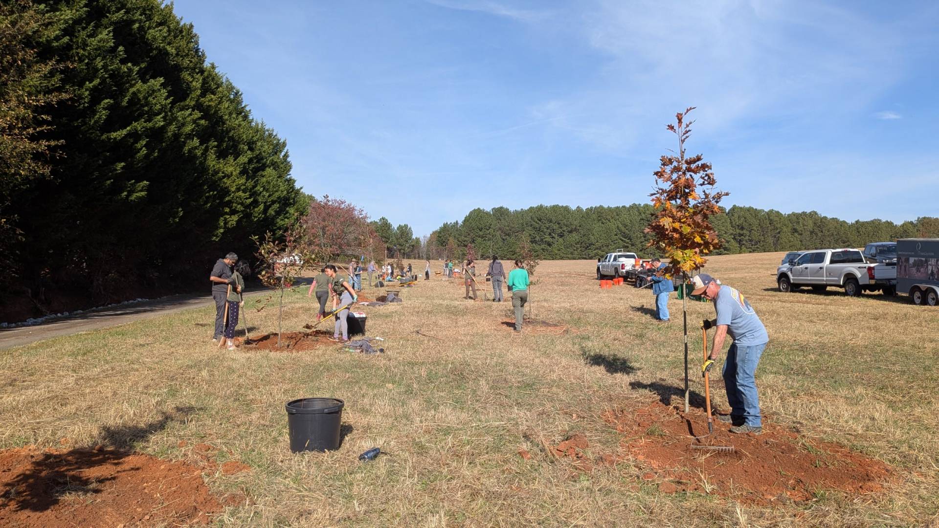 Volunteers planting trees at Bryson Site