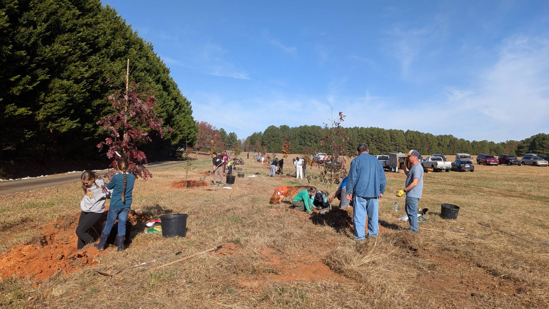 Volunteers planting trees at Bryson Site